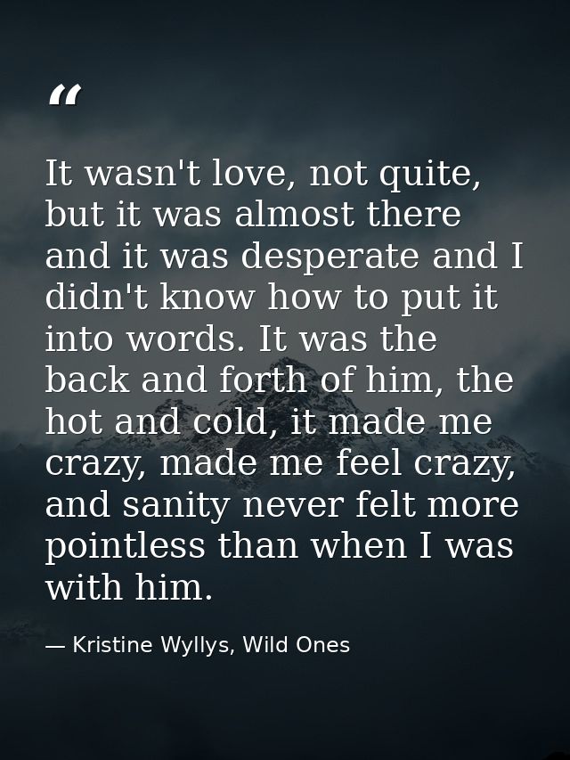 It wasn't love, not quite, but it was almost there and it was desperate and I didn't know how to put it into words. It w — Kristine Wyllys, Wild Ones
