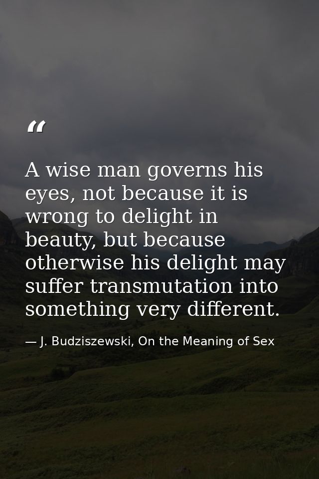 A wise man governs his eyes, not because it is wrong to delight in beauty, but because otherwise his delight may suffer  — J. Budziszewski, On the Meaning of Sex