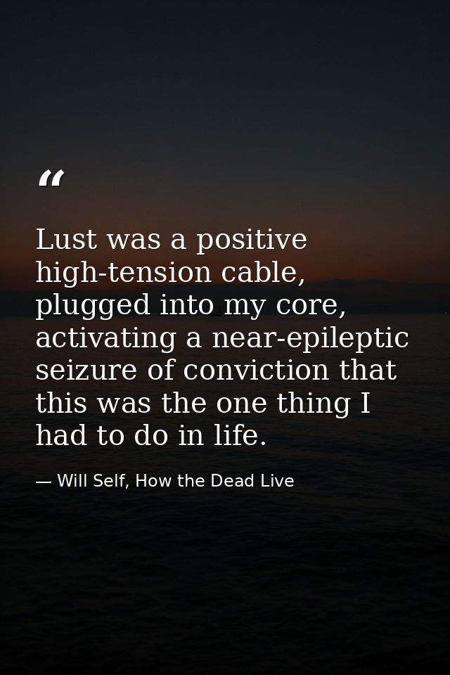 Lust was a positive high-tension cable, plugged into my core, activating a near-epileptic seizure of conviction that thi — Will Self, How the Dead Live