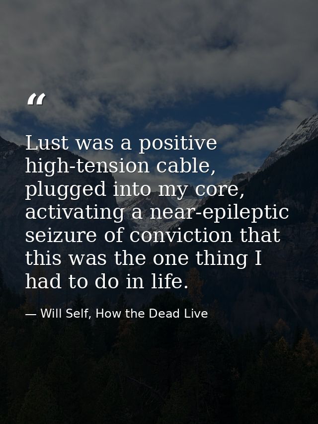 Lust was a positive high-tension cable, plugged into my core, activating a near-epileptic seizure of conviction that thi — Will Self, How the Dead Live