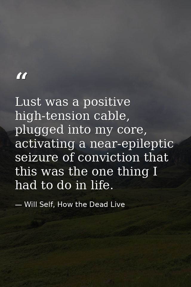 Lust was a positive high-tension cable, plugged into my core, activating a near-epileptic seizure of conviction that thi — Will Self, How the Dead Live
