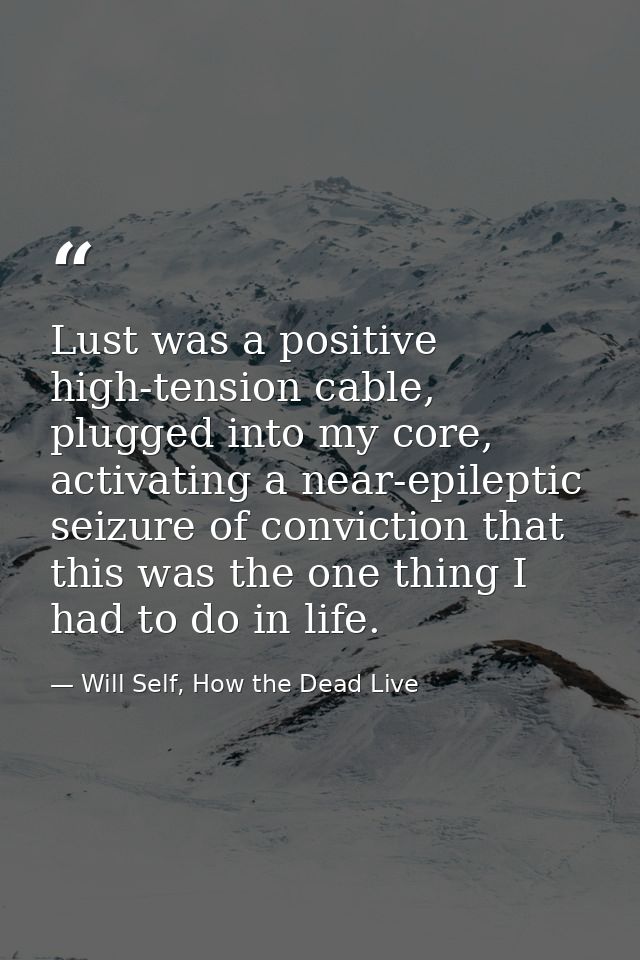 Lust was a positive high-tension cable, plugged into my core, activating a near-epileptic seizure of conviction that thi — Will Self, How the Dead Live