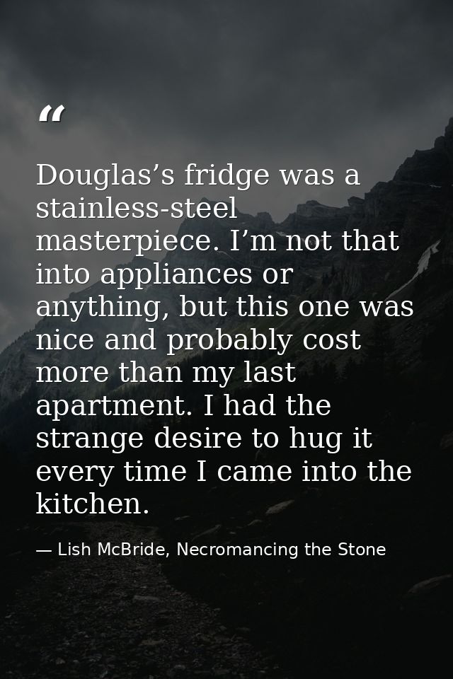 Douglas’s fridge was a stainless-steel masterpiece. I’m not that into appliances or anything, but this one was nice and  — Lish McBride, Necromancing the Stone