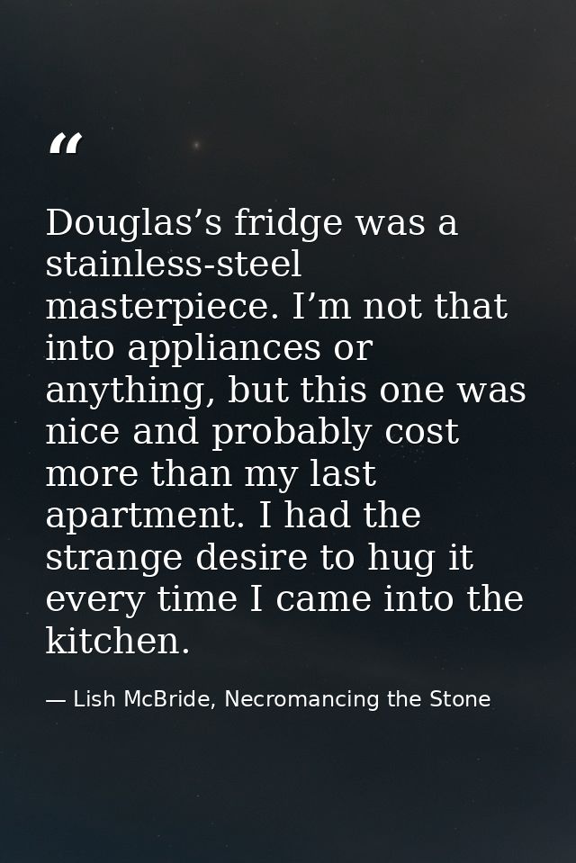 Douglas’s fridge was a stainless-steel masterpiece. I’m not that into appliances or anything, but this one was nice and  — Lish McBride, Necromancing the Stone