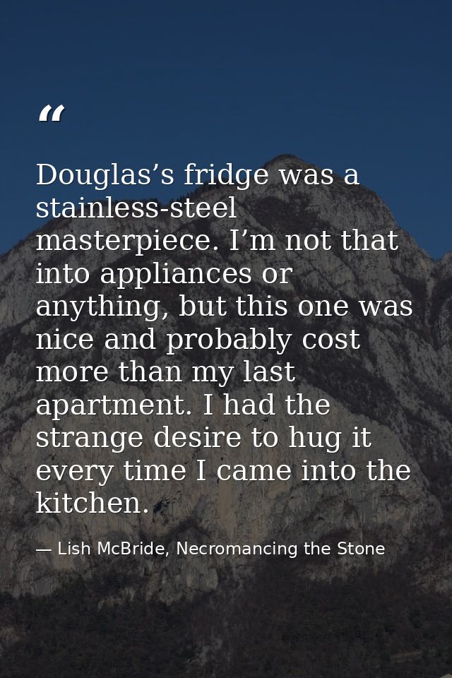 Douglas’s fridge was a stainless-steel masterpiece. I’m not that into appliances or anything, but this one was nice and  — Lish McBride, Necromancing the Stone