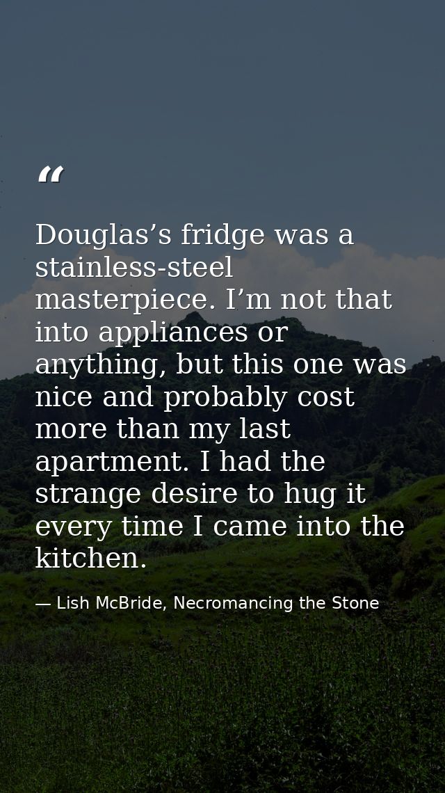 Douglas’s fridge was a stainless-steel masterpiece. I’m not that into appliances or anything, but this one was nice and  — Lish McBride, Necromancing the Stone