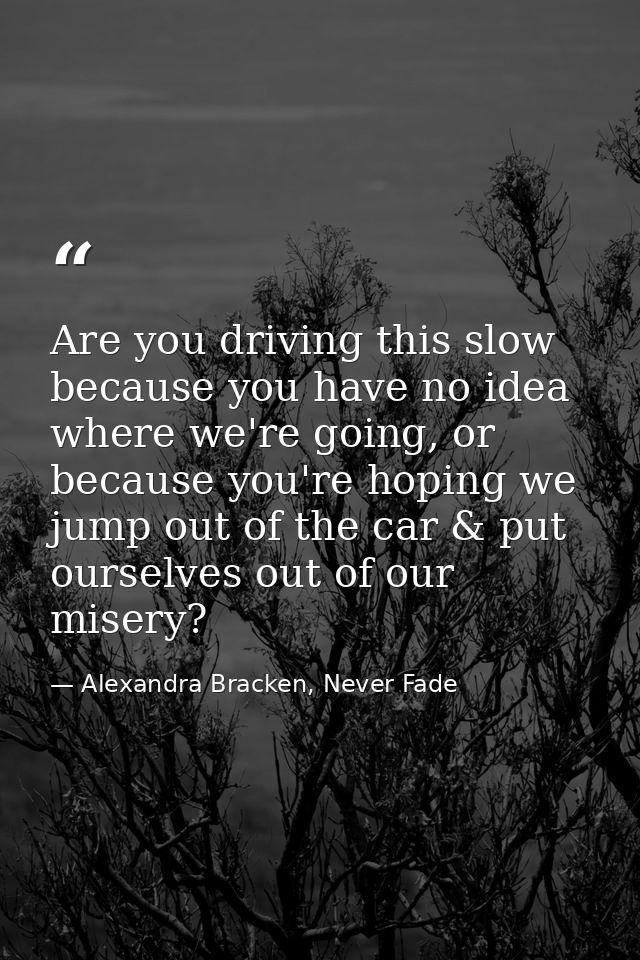 Are you driving this slow because you have no idea where we're going, or because you're hoping we jump out of the car &  — Alexandra Bracken, Never Fade