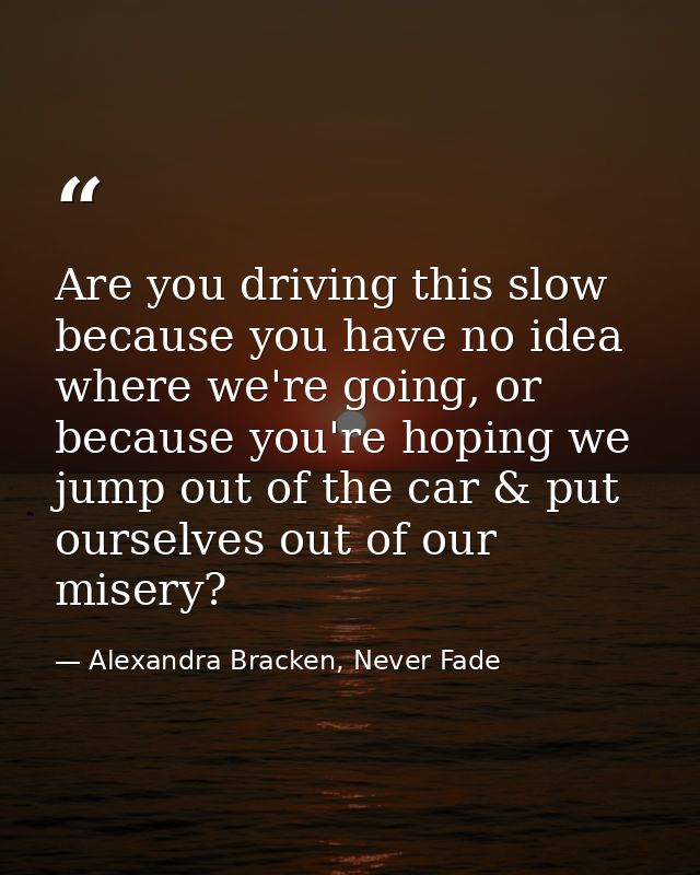 Are you driving this slow because you have no idea where we're going, or because you're hoping we jump out of the car &  — Alexandra Bracken, Never Fade