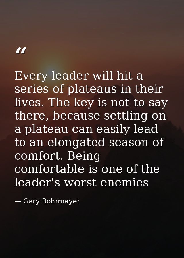Every leader will hit a series of plateaus in their lives. The key is not to say there, because settling on a plateau ca — Gary Rohrmayer