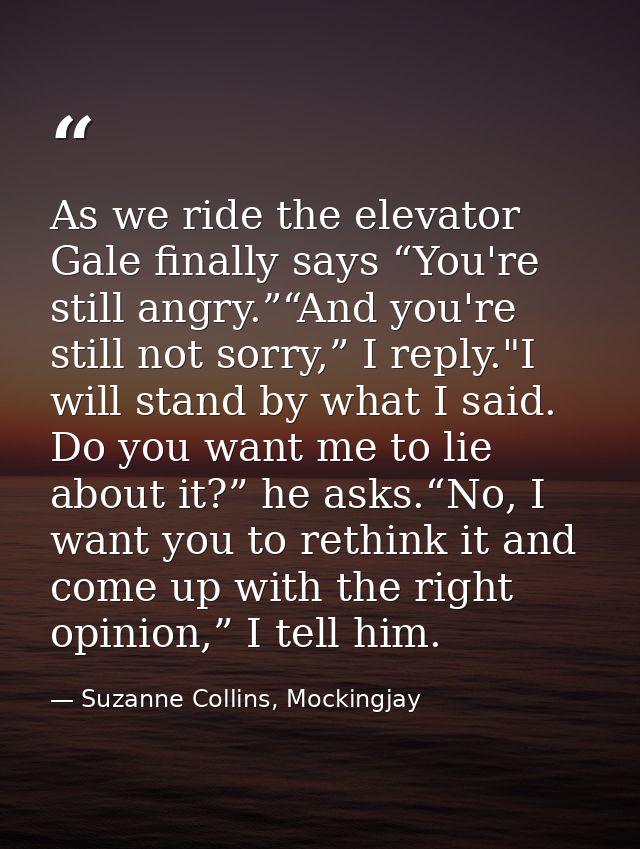 As we ride the elevator Gale finally says “You're still angry.”“And you're still not sorry,” I reply."I will stand by wh — Suzanne Collins, Mockingjay