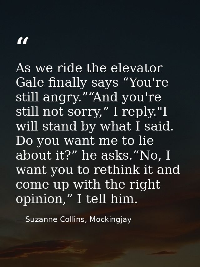 As we ride the elevator Gale finally says “You're still angry.”“And you're still not sorry,” I reply."I will stand by wh — Suzanne Collins, Mockingjay