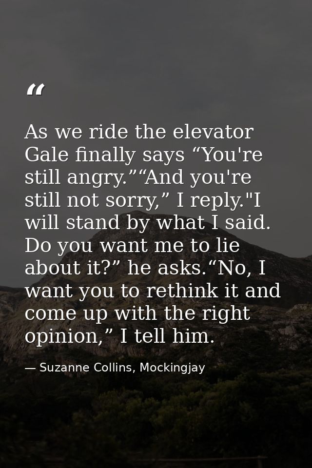 As we ride the elevator Gale finally says “You're still angry.”“And you're still not sorry,” I reply."I will stand by wh — Suzanne Collins, Mockingjay