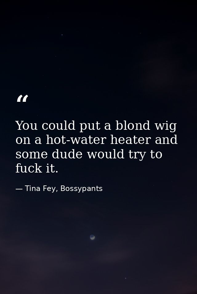 You could put a blond wig on a hot-water heater and some dude would try to fuck it. — Tina Fey, Bossypants