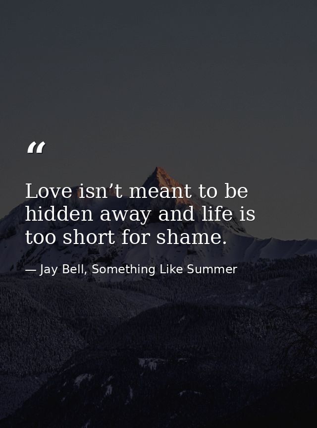 Love isn’t meant to be hidden away and life is too short for shame. — Jay Bell, Something Like Summer