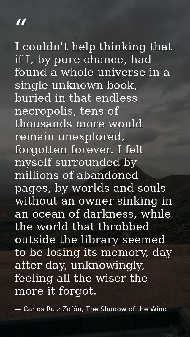 I couldn't help thinking that if I, by pure chance, had found a whole universe in a single unknown book, buried in that  — Carlos Ruiz Zafón, The Shadow of the Wind