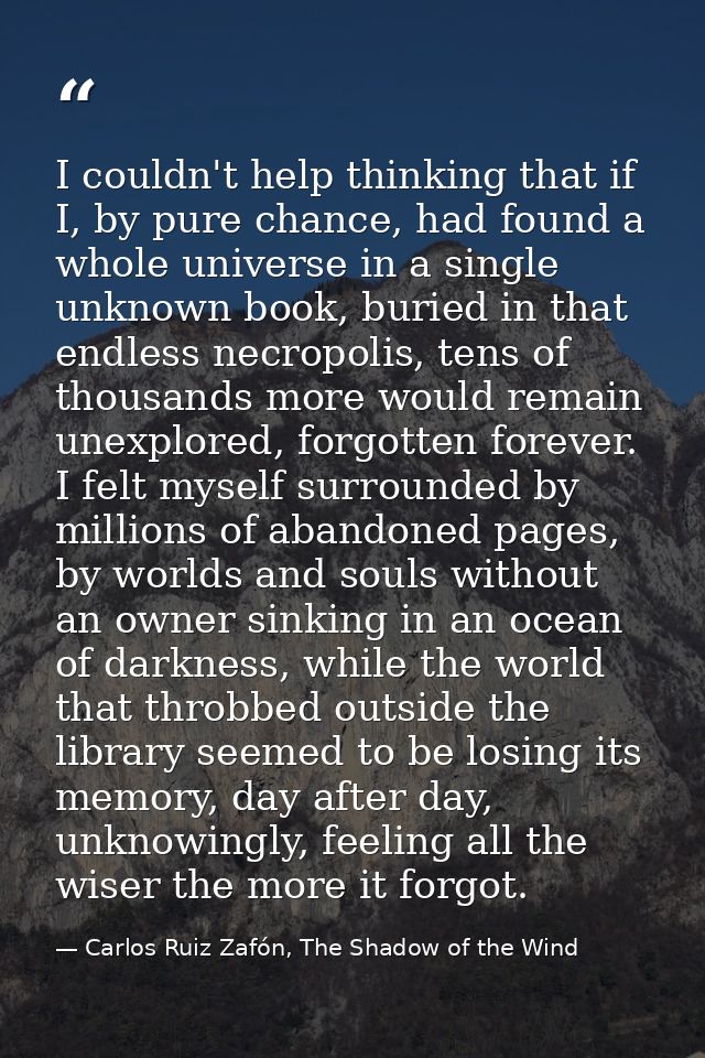 I couldn't help thinking that if I, by pure chance, had found a whole universe in a single unknown book, buried in that  — Carlos Ruiz Zafón, The Shadow of the Wind