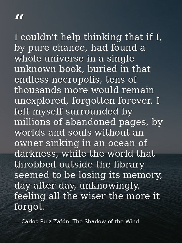 I couldn't help thinking that if I, by pure chance, had found a whole universe in a single unknown book, buried in that  — Carlos Ruiz Zafón, The Shadow of the Wind