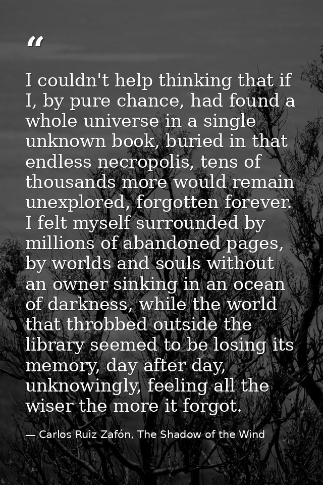 I couldn't help thinking that if I, by pure chance, had found a whole universe in a single unknown book, buried in that  — Carlos Ruiz Zafón, The Shadow of the Wind