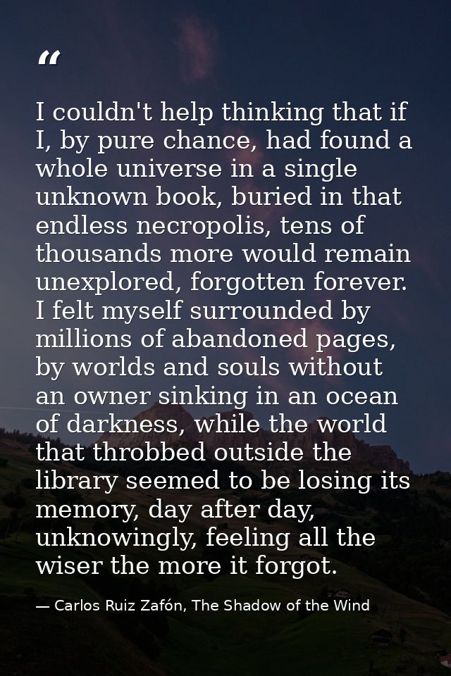 I couldn't help thinking that if I, by pure chance, had found a whole universe in a single unknown book, buried in that  — Carlos Ruiz Zafón, The Shadow of the Wind