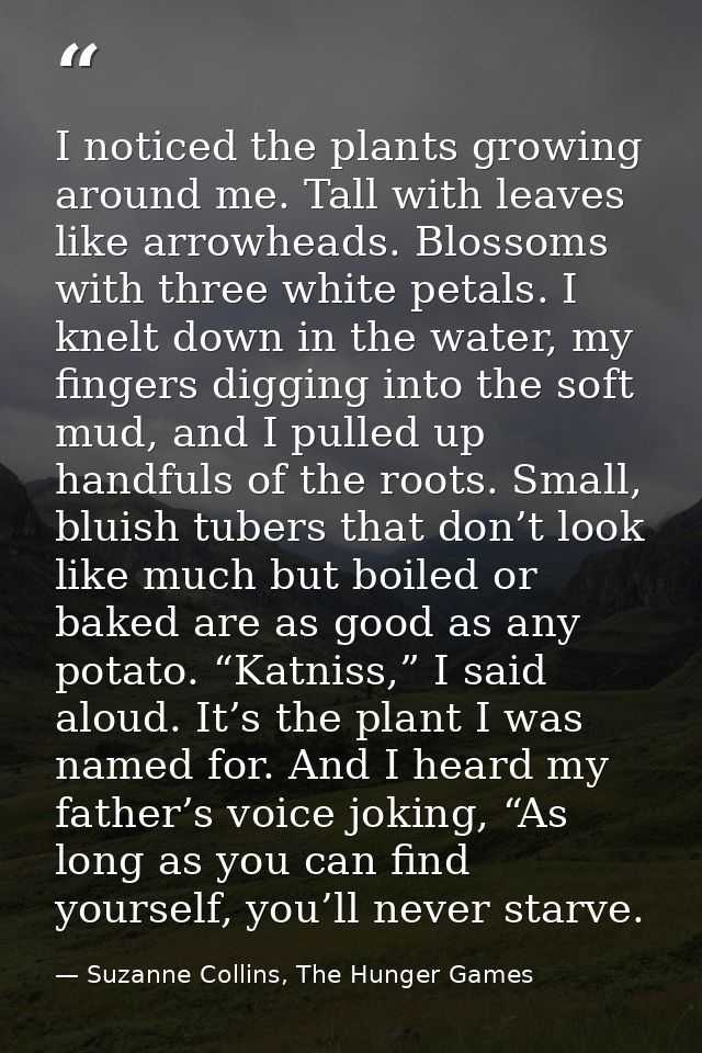 I noticed the plants growing around me. Tall with leaves like arrowheads. Blossoms with three white petals. I knelt down — Suzanne Collins, The Hunger Games