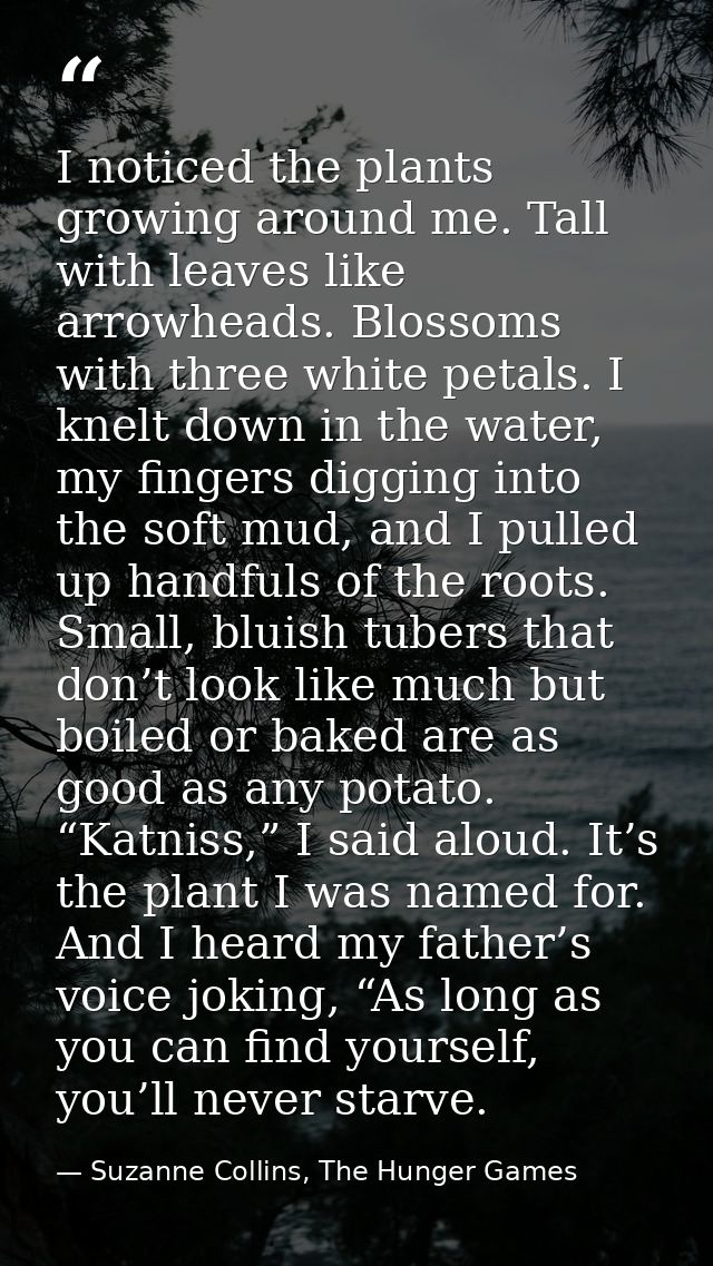 I noticed the plants growing around me. Tall with leaves like arrowheads. Blossoms with three white petals. I knelt down — Suzanne Collins, The Hunger Games