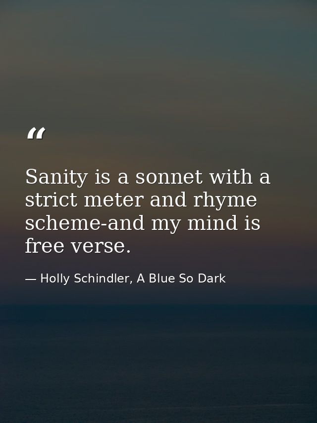 Sanity is a sonnet with a strict meter and rhyme scheme-and my mind is free verse. — Holly Schindler, A Blue So Dark