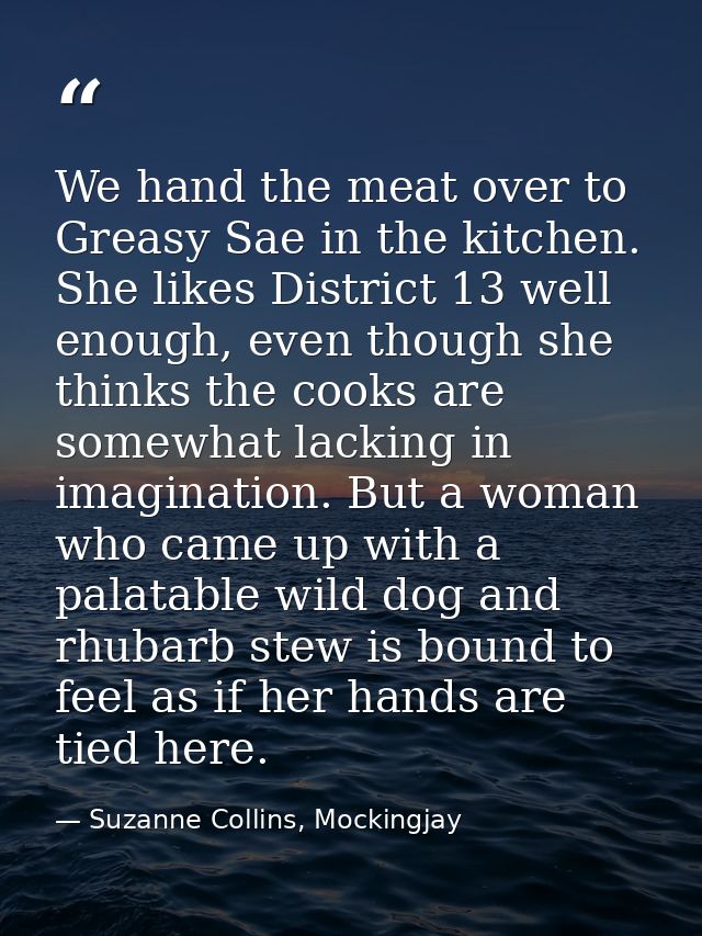 We hand the meat over to Greasy Sae in the kitchen. She likes District 13 well enough, even though she thinks the cooks  — Suzanne Collins, Mockingjay