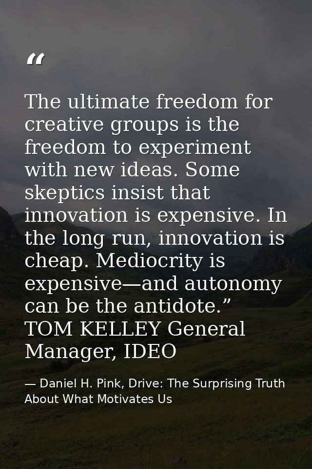 The ultimate freedom for creative groups is the freedom to experiment with new ideas. Some skeptics insist that innovati — Daniel H. Pink, Drive: The Surprising Truth About What Motivates Us