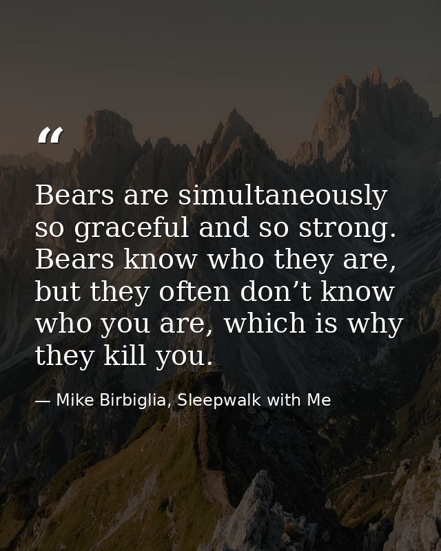 Bears are simultaneously so graceful and so strong. Bears know who they are, but they often don’t know who you are, whic — Mike Birbiglia, Sleepwalk with Me