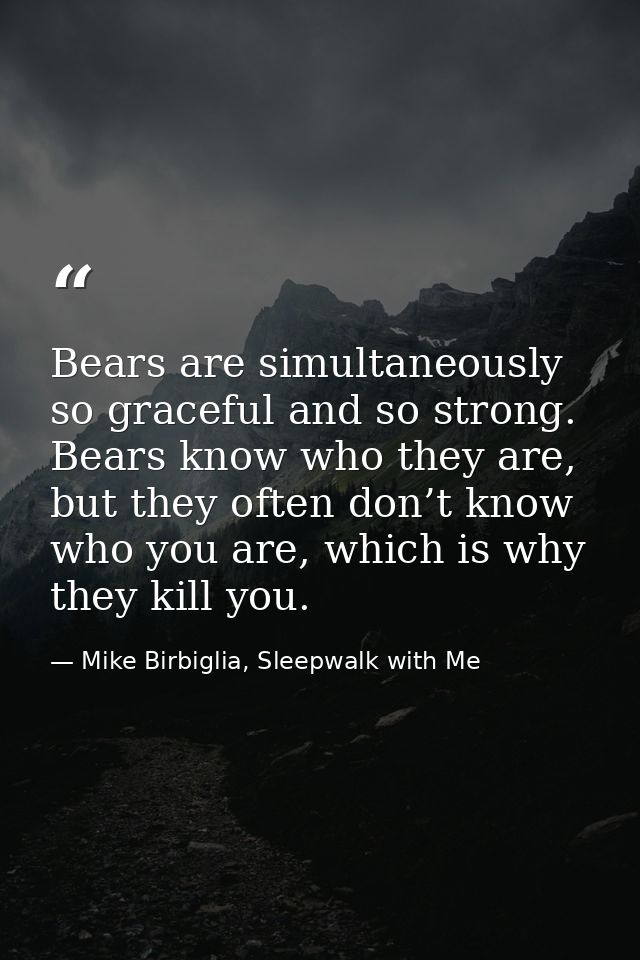 Bears are simultaneously so graceful and so strong. Bears know who they are, but they often don’t know who you are, whic — Mike Birbiglia, Sleepwalk with Me