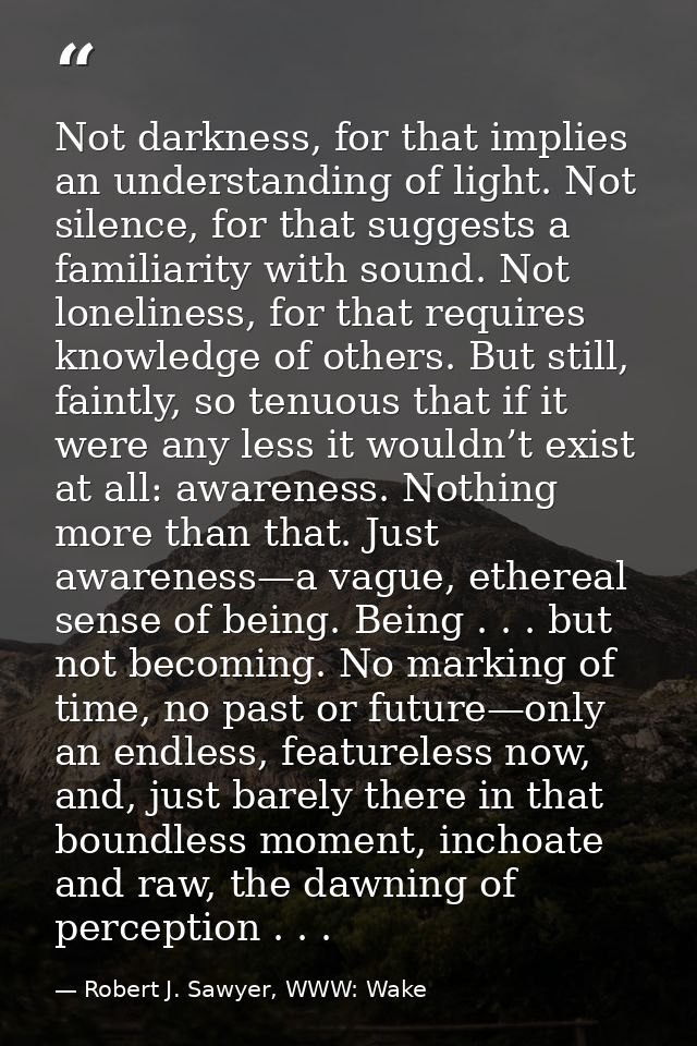 Not darkness, for that implies an understanding of light. Not silence, for that suggests a familiarity with sound. Not l — Robert J. Sawyer, WWW: Wake