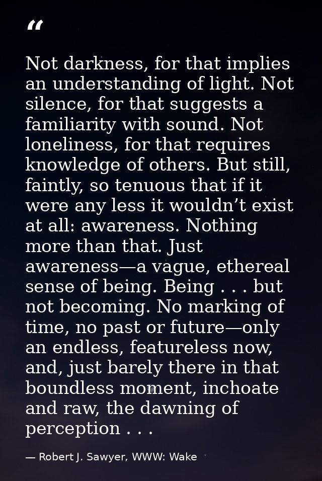 Not darkness, for that implies an understanding of light. Not silence, for that suggests a familiarity with sound. Not l — Robert J. Sawyer, WWW: Wake