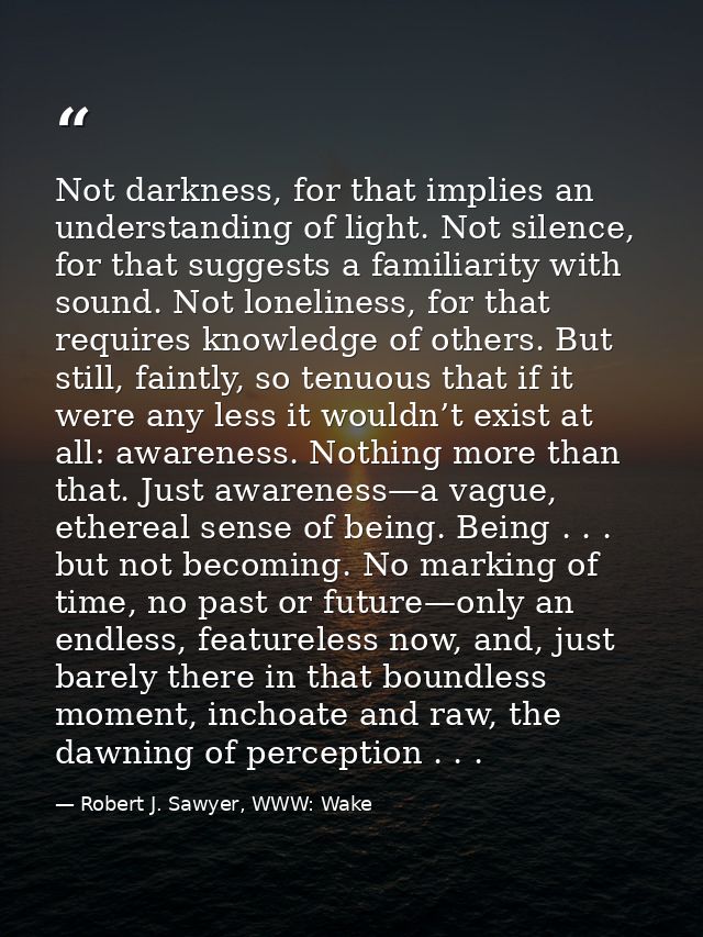 Not darkness, for that implies an understanding of light. Not silence, for that suggests a familiarity with sound. Not l — Robert J. Sawyer, WWW: Wake