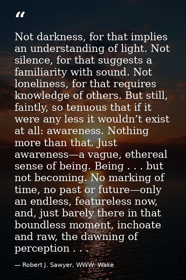Not darkness, for that implies an understanding of light. Not silence, for that suggests a familiarity with sound. Not l — Robert J. Sawyer, WWW: Wake