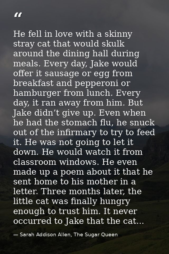 He fell in love with a skinny stray cat that would skulk around the dining hall during meals. Every day, Jake would offe — Sarah Addison Allen, The Sugar Queen