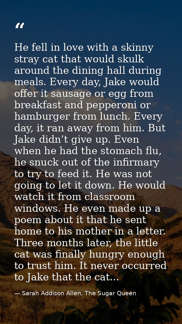 He fell in love with a skinny stray cat that would skulk around the dining hall during meals. Every day, Jake would offe — Sarah Addison Allen, The Sugar Queen