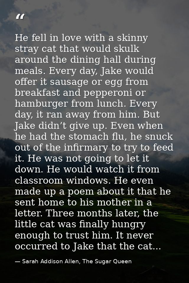 He fell in love with a skinny stray cat that would skulk around the dining hall during meals. Every day, Jake would offe — Sarah Addison Allen, The Sugar Queen