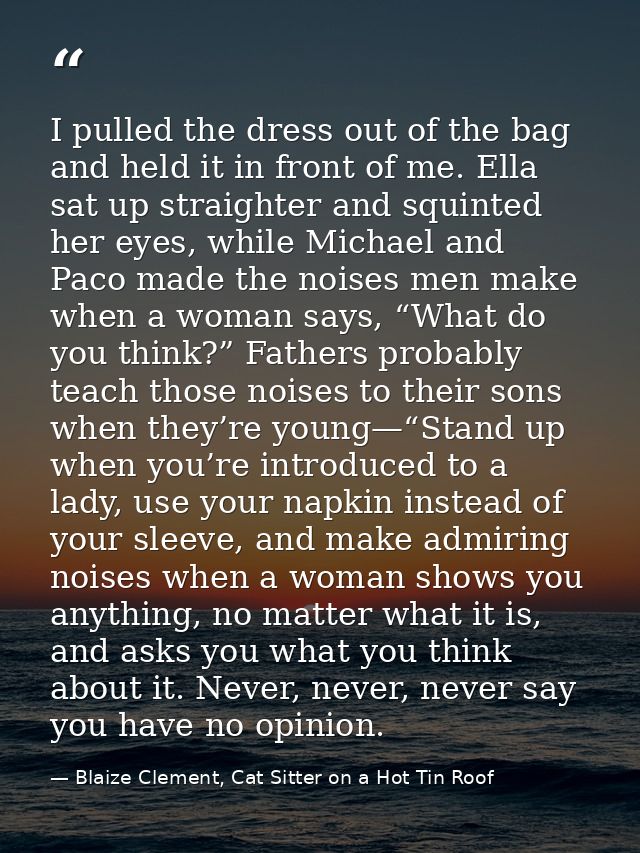 I pulled the dress out of the bag and held it in front of me. Ella sat up straighter and squinted her eyes, while Michae — Blaize Clement, Cat Sitter on a Hot Tin Roof