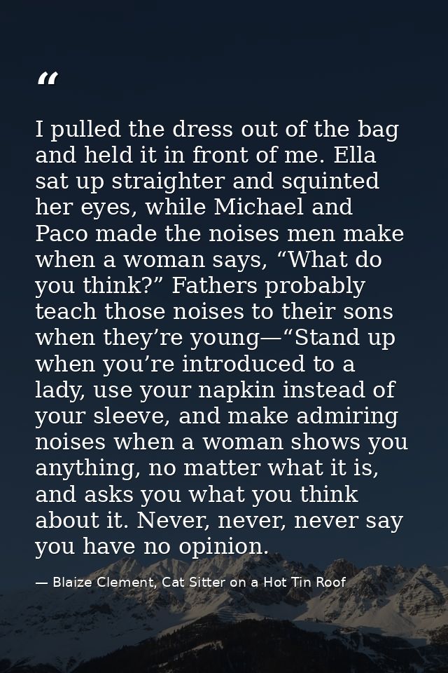 I pulled the dress out of the bag and held it in front of me. Ella sat up straighter and squinted her eyes, while Michae — Blaize Clement, Cat Sitter on a Hot Tin Roof