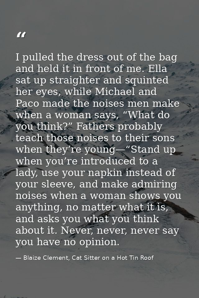 I pulled the dress out of the bag and held it in front of me. Ella sat up straighter and squinted her eyes, while Michae — Blaize Clement, Cat Sitter on a Hot Tin Roof