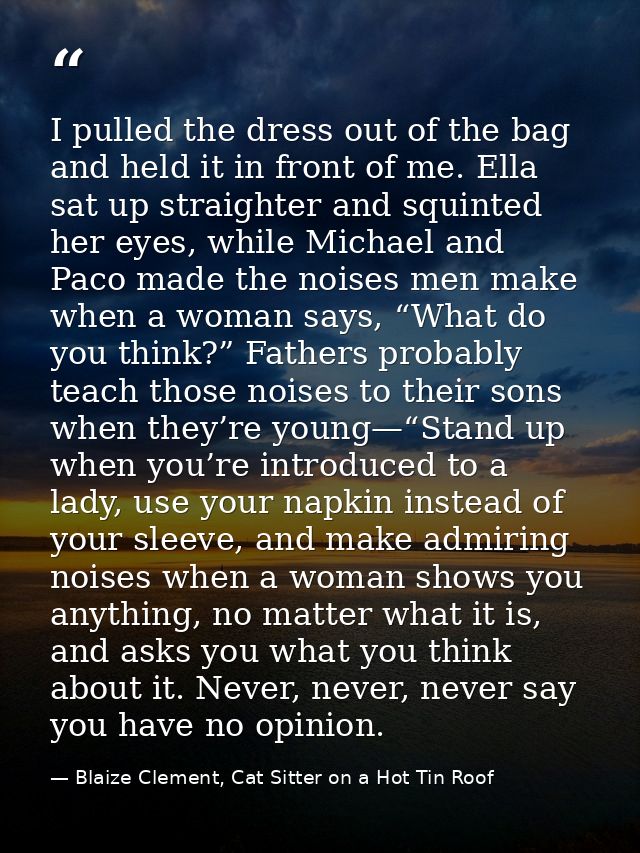 I pulled the dress out of the bag and held it in front of me. Ella sat up straighter and squinted her eyes, while Michae — Blaize Clement, Cat Sitter on a Hot Tin Roof