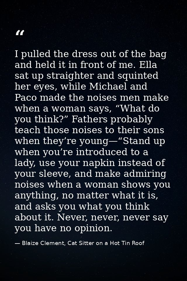 I pulled the dress out of the bag and held it in front of me. Ella sat up straighter and squinted her eyes, while Michae — Blaize Clement, Cat Sitter on a Hot Tin Roof
