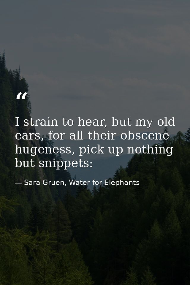 I strain to hear, but my old ears, for all their obscene hugeness, pick up nothing but snippets: — Sara Gruen, Water for Elephants