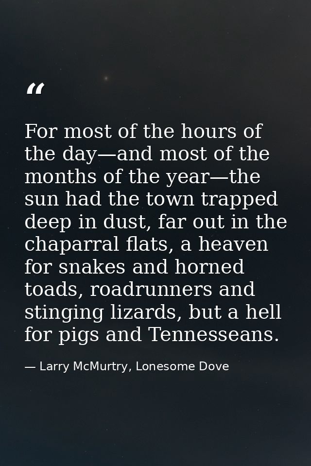 For most of the hours of the day—and most of the months of the year—the sun had the town trapped deep in dust, far out i — Larry McMurtry, Lonesome Dove