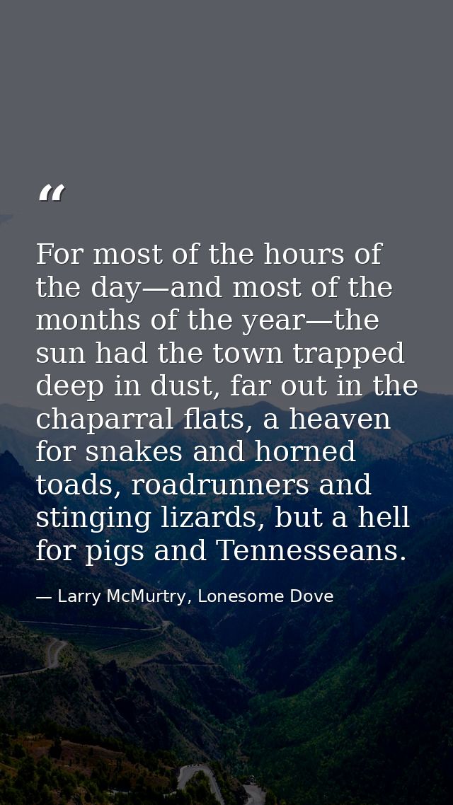 For most of the hours of the day—and most of the months of the year—the sun had the town trapped deep in dust, far out i — Larry McMurtry, Lonesome Dove