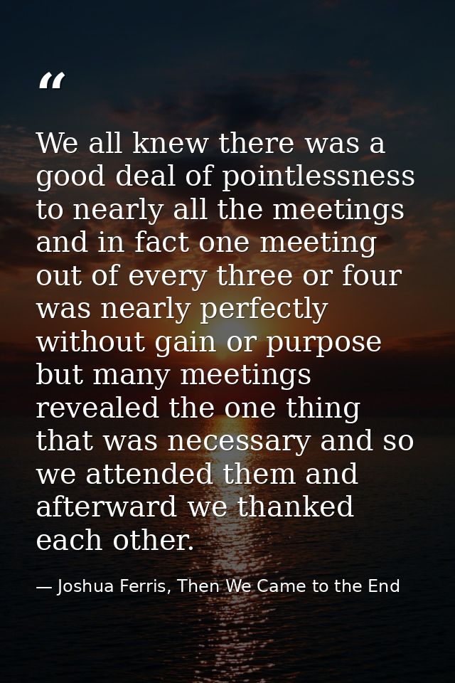 We all knew there was a good deal of pointlessness to nearly all the meetings and in fact one meeting out of every three — Joshua Ferris, Then We Came to the End