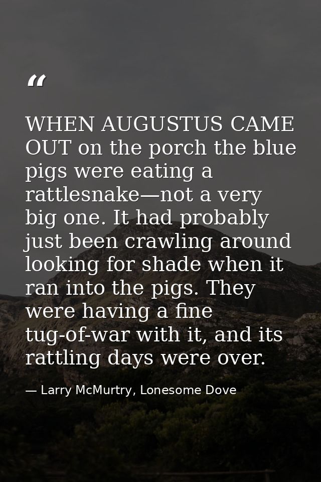 WHEN AUGUSTUS CAME OUT on the porch the blue pigs were eating a rattlesnake—not a very big one. It had probably just bee — Larry McMurtry, Lonesome Dove