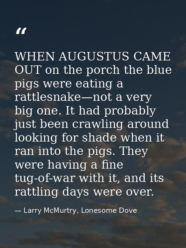 WHEN AUGUSTUS CAME OUT on the porch the blue pigs were eating a rattlesnake—not a very big one. It had probably just bee — Larry McMurtry, Lonesome Dove