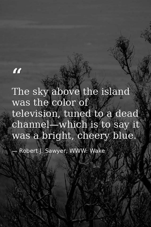 The sky above the island was the color of television, tuned to a dead channel—which is to say it was a bright, cheery bl — Robert J. Sawyer, WWW: Wake