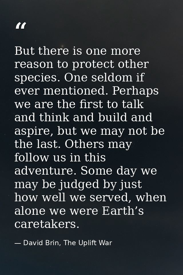 But there is one more reason to protect other species. One seldom if ever mentioned. Perhaps we are the first to talk an — David Brin, The Uplift War